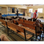 Haiti Pics 29
